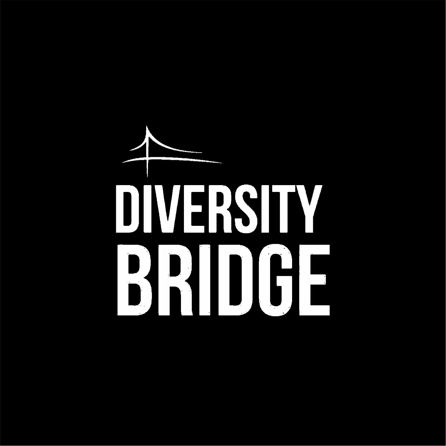 Diversity Bridge